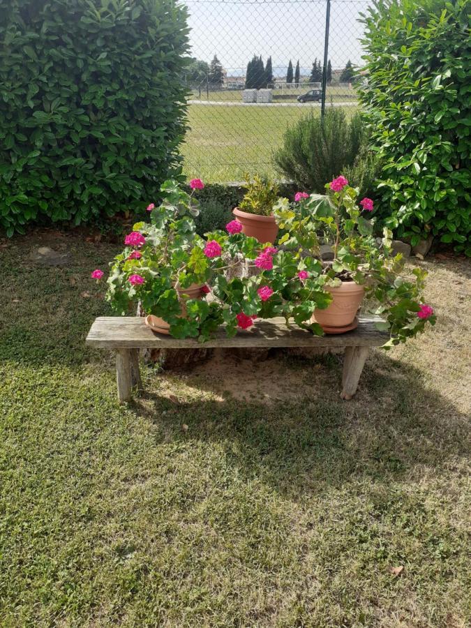 Bed and Breakfast La Fiora Sansepolcro Zewnętrze zdjęcie
